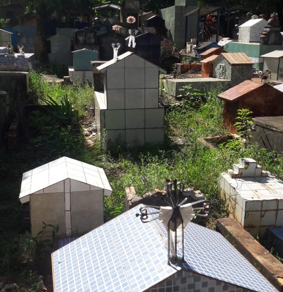 Insólito: Venden espacio y permiten invasión a panteón familiar en cementerio de Franco
